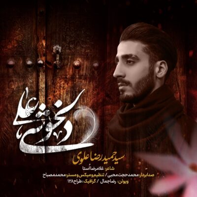 دانلود آهنگ سید حمیدرضا علوی دلخوشی علی 