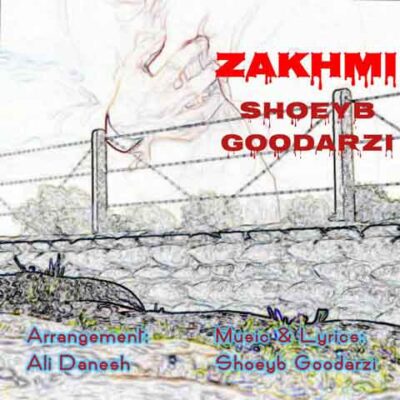 دانلود آهنگ شعیب گودرزی آوای زمینه (من و دل۱)