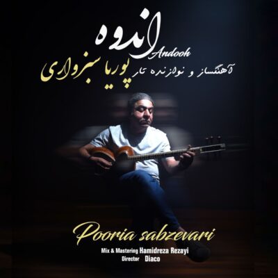پوریا سبزواری اندوه