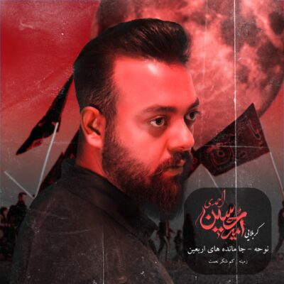 امیرحسین احمدی شکر نعمت