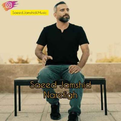 دانلود آهنگ سعید جمشیدی نارفیق