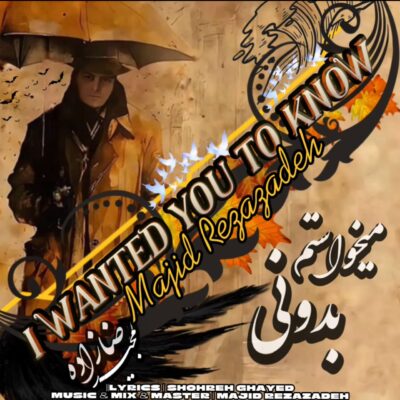 دانلود آهنگ مجید رضازاده میخواستم بدونی