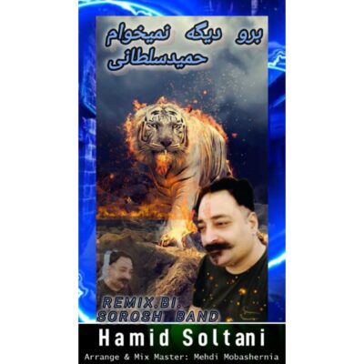 دانلود آهنگ حمید سلطانی برو دیگه نمیخوام (دیجی سروش بند ریمیکس)