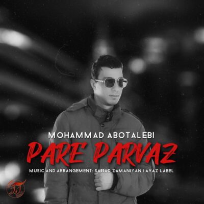 دانلود آهنگ محمد ابوطالبی پر پرواز