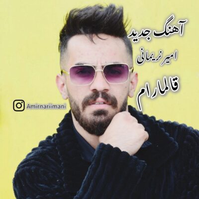 دانلود آهنگ امیر نریمانی قالمارام