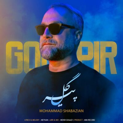 دانلود آهنگ محمد شابازیان گل پیر