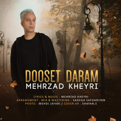 دانلود آهنگ مهرزاد خیری دوست دارم